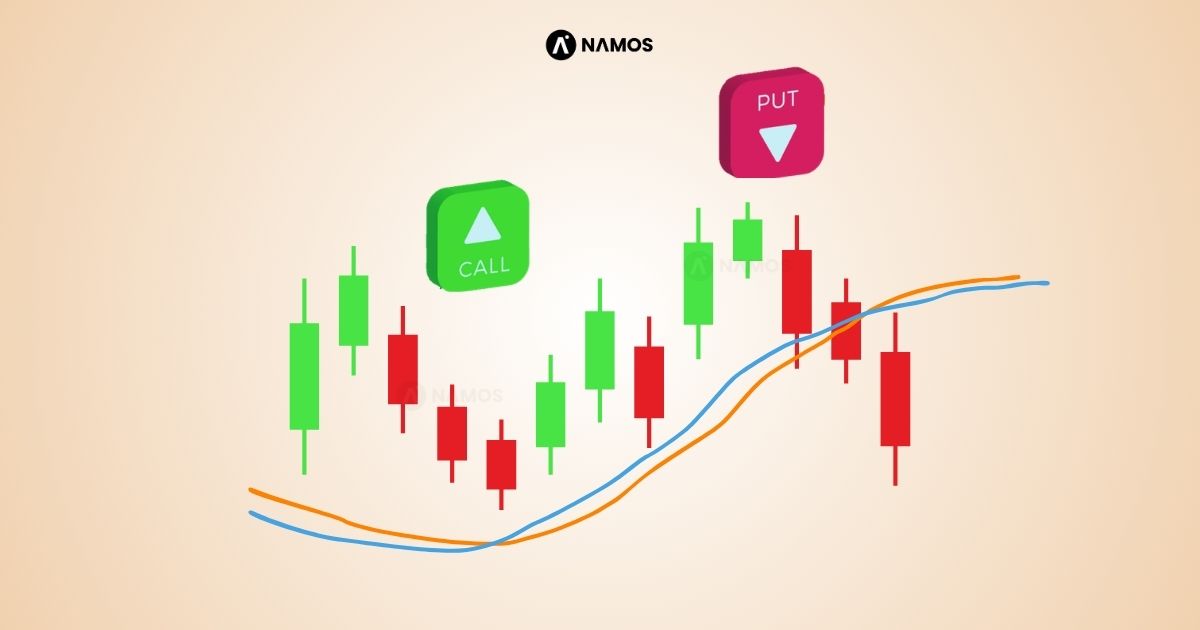 What is a Put Option and a Call Option